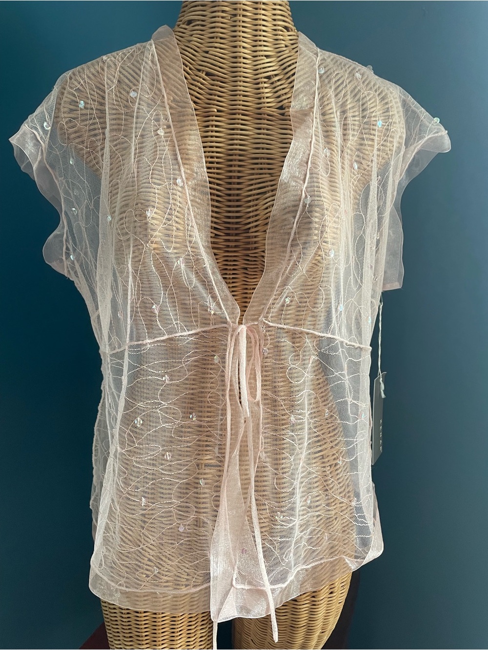 Kenar NWOT Sheer Pink Tie Front Top Sequins Embroidery FairyCore